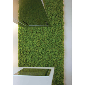 En gros artificielle <span class=keywords><strong>tourbe</strong></span> tapis <span class=keywords><strong>de</strong></span> <span class=keywords><strong>mousse</strong></span> panneau <span class=keywords><strong>de</strong></span> mur d'art, <span class=keywords><strong>mousse</strong></span> artificielle colorée pour la décoration - Product Image 1