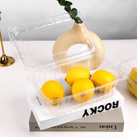 Contenitore con Coperchio a Cerniera Trasparente per Alimenti, Scatola Monouso in PET PP per Imballaggio di Frutta, Torte e Insalate