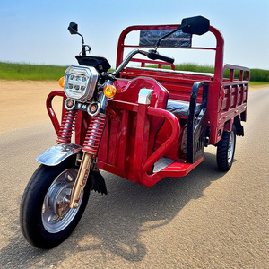 Triciclo Elettrico da Carico 1000W con 2 Posti Passeggeri, Veicolo a Tre Ruote 48V, Disponibile con Carrozzeria Aperta, Triciclo con Cassone Ribaltabile da 1 Tonnellata - Product Image 1