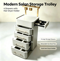 Chariot de Salon de Coiffure Moderne, Meuble de Rangement à 4 Tiroirs avec Support Rétractable pour Bol de Teinture Latéral, pour Salon de Beauté, Spa et Barbier