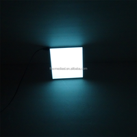 Lámina Electroluminiscente Cortable Tamaño A4, Lámina Electroluminiscente con Retroiluminación, Lámina EL Brillante, LED Electroluminiscente