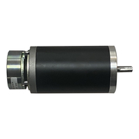 Moteur électrique CC brossé personnalisé de 63 mm, 100 W, 250 W, 12 V, 24 V, 3000 tr/min avec frein pour fauteuils de massage
