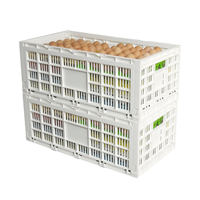 Caisse en plastique pliable YUBO pour plateaux à œufs, caisses de rangement en plastique ventilées, caisses en plastique pliantes