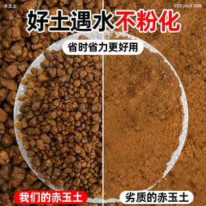 Granulés de terre Akadama, absorption moyenne, pour succulentes, bonsaïs, reptiles, terreau riche en nutriments, importé du Japon - Product Image 2