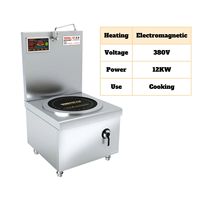 Marmite de cuisson verticale commerciale à induction en acier inoxydable 10000-20000W, Plug-and-Play 380V pour Pho, Ramen, Curry