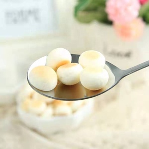 Sıcak satmak Pet Ideal köpek davranır Pet buğulanmış ekmek bisküvi köpek aperatif 100g Polybag ambalaj - Product Image 4