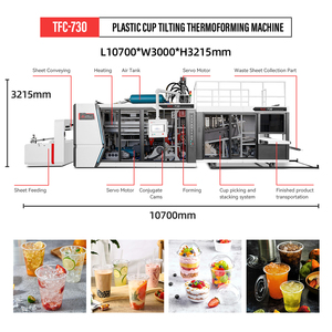 Macchina Termoformatrice Completamente Automatica per la Produzione di Bicchieri Monouso in PET/PP/PS/PVC con Conteggio e Confezionamento - Product Image 3
