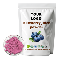 Blauwe bessenpoeder, lichtpaarse poeder, 100% puur natuurlijk, geen toevoegingen, geen draagstoffen, groothandel levering