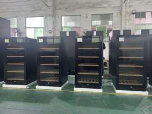 Incubateur pour reptiles NE-502, refroidissement et chauffage, protection de sécurité, incubateur verrouillable pour œufs de serpent et de lézard avec éclairage - Product Image 2