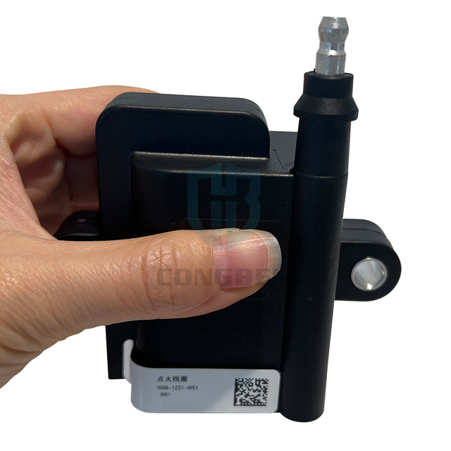High Quality Car Ignition Coil Auto Parts Ignition Coil Truck Ignition Coil 612600191988