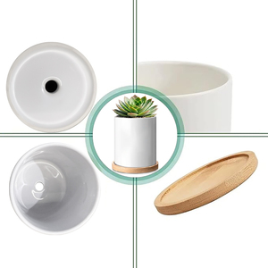 Pyd Cuộc Sống Mới Tùy Chỉnh 11Oz Gốm Vườn Trồng Nồi Với Cơ Sở Tre Thăng Hoa Bảng Gốm Trang Trí Mọng Nước Hoa Chậu - Product Image 4