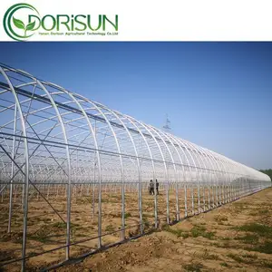 Túnel polivinílico agrícola y agrícola comercial de alta resistencia, casa verde, película plástica, cobertizo de cultivo, invernadero de tomate a la venta