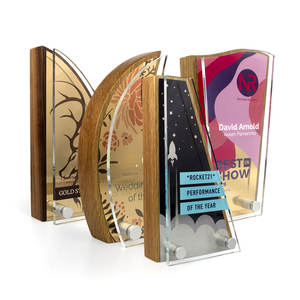 Trophée personnalisé de l'usine OEM ODM Support acrylique pour la peste Présentoir en blocs de bois véritable pour les événements sportifs académiques corporatifs caritatifs - Product Image 3