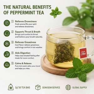 Tisane alla Menta Verde in Bustine Private Label 100% Biologica per il Supporto della Digestione, Alito Fresco e Aumento di Energia - Product Image 4