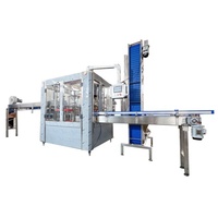 Ligne de production professionnelle pour la mise en bouteille de petites boissons, machine de remplissage, de bouchage et d'étiquetage de bouteilles d'eau