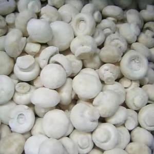 Kit de culture en usine de champignons pleurotes séchés, certifié BRC, personnalisable, prix usine, Pleurotus Ostreatus <span class=keywords><strong>surgelé</strong></span> - Product Image 1