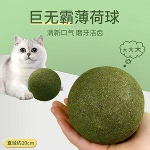 Giant Catnip Ball 10cm Diameter For Cats Fresh Breath Tooth Care - Product Image 1