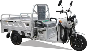 Scooter triciclo de nova energia para transporte de mercadorias, triciclo elétrico para transporte de fazenda rural