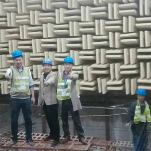 Dispositif de réduction du bruit Jinghuan chambre anéchoïque environnementale pour les tests acoustiques des produits - Product Image 5