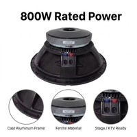 Woofer de Ferrita de 15 Pulgadas y 800W, Bobina de Voz de 100mm, 98dB, 8 Ohmios para Subwoofer PA y Line Array