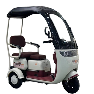 Sécurité de haute qualité et populaire trois roues <span class=keywords><strong>vélo</strong></span> électrique 2 <span class=keywords><strong>places</strong></span> <span class=keywords><strong>vélo</strong></span> électrique Tricycle électrique passager - Product Image 1