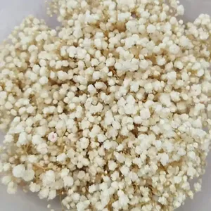 Venta al por mayor de flores secas preservadas de gypsophila natural, ramo de aliento para boda, arreglo floral de flores de fábrica, venta al por mayor de la fábrica de La M3-120g