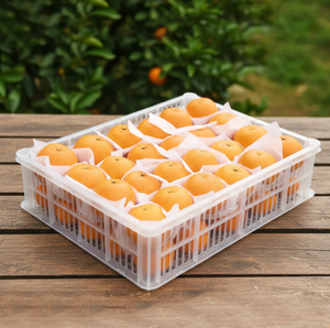 Arance Sanguigne Fresche Premium, Agrumi Dolci Naturali e Sani, Succose, Raccolte in Frutteto, Fornitura all'Ingrosso per l'Esportazione - Product Image 4