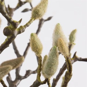 Hot Bán 87Cm Magnolia Cây Chi Nhánh Magnolias Bud Hoa Đa Năng Trang Trí Nội Thất Giáng Sinh Tốt Nghiệp Halloween Năm Mới Phục Sinh - Product Image 3
