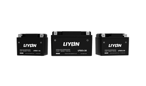 Usine En Gros <span class=keywords><strong>YTX12</strong></span> BS12V 12AH Joint Plomb Acide Moto Démarreur Batterie 12V 2.5AH LIYON LFS01-08 Moto Batterie - Product Image 3