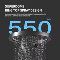 Nouveau Système de Douche Multifonctionnel Noir 2025 en Acier Inoxydable avec Colonne de Douche Cascade, Pluie et Jets de Massage – Vente Flash