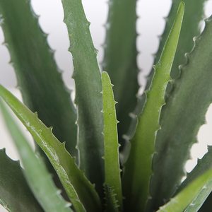 Planta de <span class=keywords><strong>Aloe</strong></span> <span class=keywords><strong>Vera</strong></span> falsa de 40cm, planta de <span class=keywords><strong>Agave</strong></span> Artificial, plantas de interior para el hogar, maceta para interior, mesa, decoración de jardín - Product Image 4