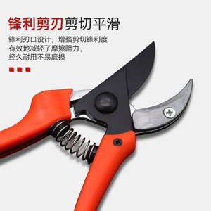Nice <b>Pruning</b> Shears 45mm Carbon Steel Straight Head Garden <b>Tool</b> For Fruit <b>Trees</b> And Orchards - Product Image 2