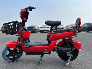 Nhà Máy Trung Quốc Bán Buôn Xe Đạp Điện 800W 1000W Lithium Có Thể Tháo Rời Pin Tùy Chỉnh Thiết Kế Mới Chất Lượng Tốt Chào Đón Mô Hình - Product Image 2