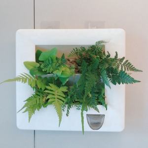 Décoration murale moderne pour la maison, pot de fleurs suspendu en plastique, décorations murales, jardinière pour plantes succulentes, pour l'intérieur - Product Image 1