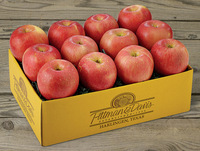 Pomme rouge Fuji fraîche et juteuse, fruits naturels, pomme fraîche, prix le plus bas des fabricants, pomme rouge Fuji