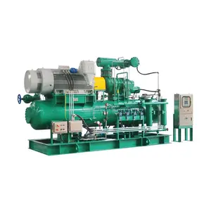 Uitstekende Ammoniak Voedsel Industrie Schroef Compressor Unit Koelmiddel Air Compressor