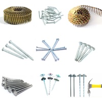 Clous en spirale à tige hélicoïdale en acier inoxydable 304 de haute qualité, fabriqués en usine, pour palette en bois, utilisation avec cloueuse pneumatique