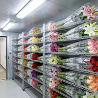 Cámara Frigorífica de Gran Capacidad para Floristería, Cuarto Frío para Almacenamiento de Flores