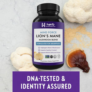 OEM ODM Organic Mushroom <b>Gummy</b> Lion's Mane & Chaga Blend for Focus & Immunity - Product Image 2