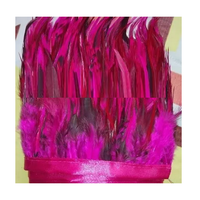 Plumes d'oiseaux longues et pointues teintes, artisanat fait main Soraj Enterprises, décorations créatives pour la maison et les fêtes de mariage, centres de table