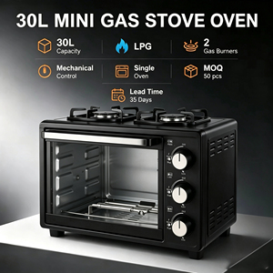 <span class=keywords><strong>Forno</strong></span> <span class=keywords><strong>a</strong></span> <span class=keywords><strong>Gas</strong></span> LPG da 30L Prodotto in Fabbrica OEM, <span class=keywords><strong>Forno</strong></span> <span class=keywords><strong>Domestico</strong></span> <span class=keywords><strong>per</strong></span> Cucinare <span class=keywords><strong>Pizza</strong></span>, in Ferro Laminato <span class=keywords><strong>a</strong></span> Freddo, Durevole, <span class=keywords><strong>per</strong></span> Uso <span class=keywords><strong>Domestico</strong></span> - Product Image 3