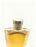 Bouteille en verre carrée de haute qualité de 100 ml avec couvercle pour diffuseur à bâtonnets, huiles essentielles et parfums – Marquage à chaud disponible