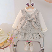 Ensemble robe pour fillette avec nœud gris clair, manches longues, style décontracté, printemps-automne, tenue de princesse pour enfants
