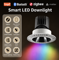 Downlight encastré 12W pour hôtel, usage commercial, certifié SAA, LED sans cadre, spectre complet, couleur réglable, salon, chambre à coucher