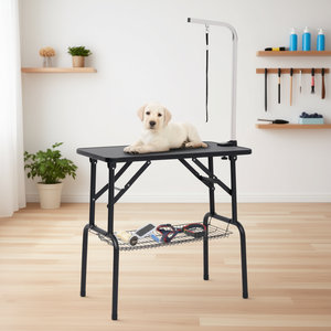 Table de toilettage pour animaux réglable avec boucle et panier pour soins canins, en acier inoxydable, style moderne - Product Image 2