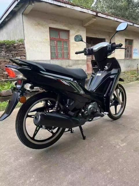 Premium Brand Super Cub Motorcycles Petrol Models-Cub Bikes