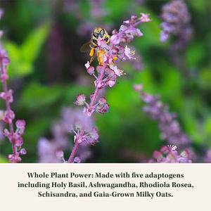 Veggie Ashwagandha con Rhodiola Rosea Cápsulas Suprarrenales y Cortisol Suplementos de soporte - Product Image 4