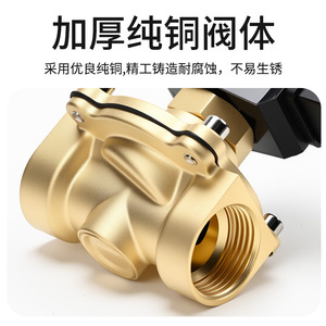 Vanne solénoïde 2K250-25 AC220V 3/4 po pour le contrôle de l'eau, température normale 0-1 Mpa, corps en laiton - Product Image 3