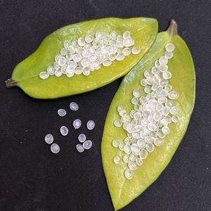 Virgin Industrial Granule PP Polypropylene <b>Plastic</b> Raw Materials <b>Pellets</b> PP <b>Plastic</b> Granules - Product Image 2