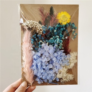 M61 Matériel de fleurs séchées DIY, fleurs séchées réelles conservées, fleurs pressées parfumées pour la fabrication de bougies parfumées, savon en résine, art des ongles, bijoux - Product Image 4